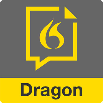 Grey and yellow with the word Dragon on bottom and a speech bubble on top with a picture of fire in the middle