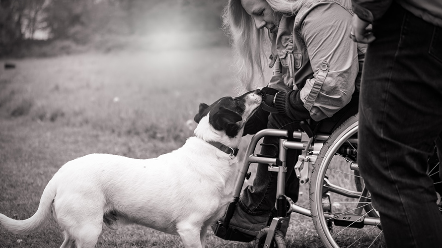 Woman in wheelchair petting dog