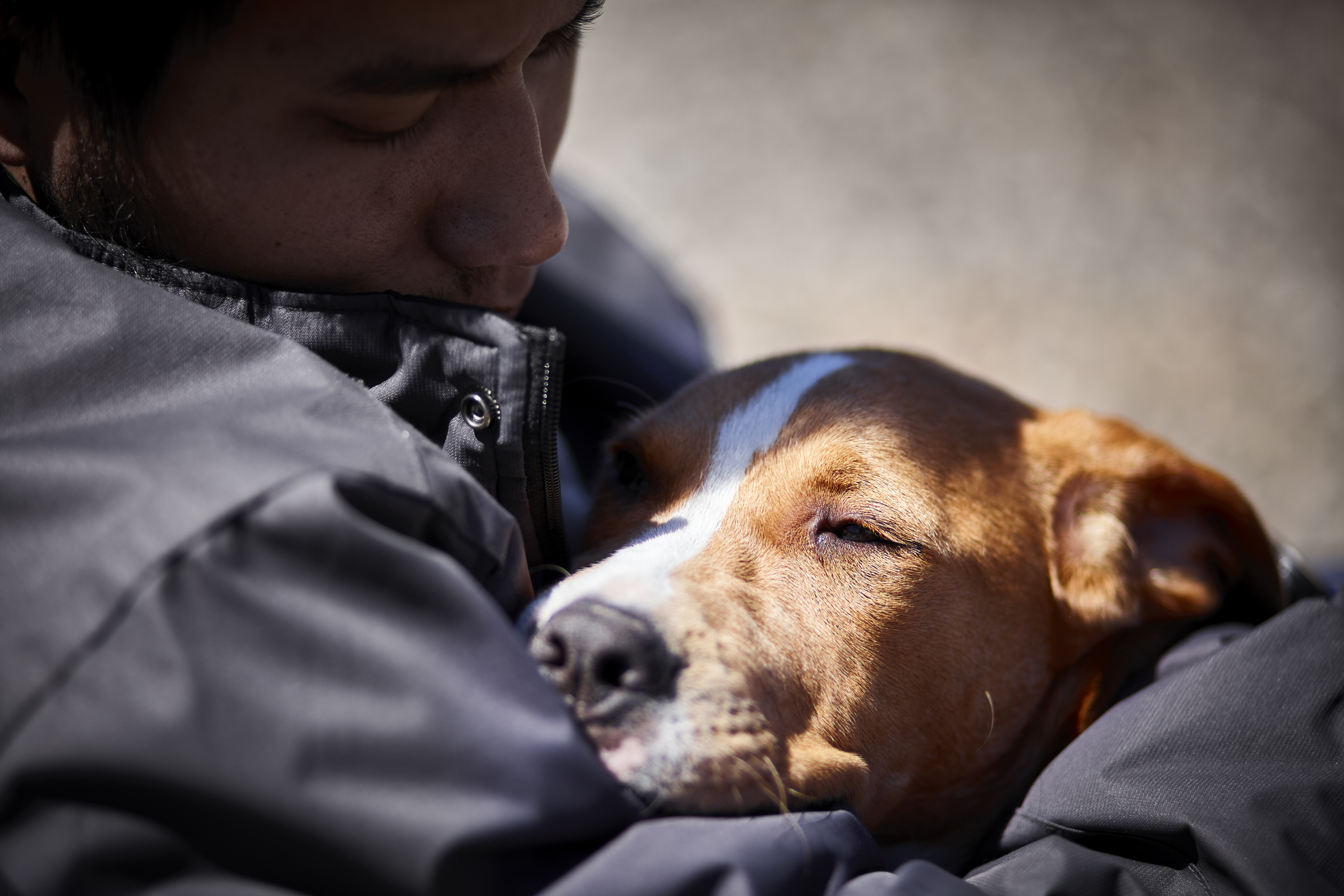 Closeup of a young man with pale skin and freckles clinging to a PTSD service dog with tan fur and a white stripe down its nose. The dog burrows itself into the man's jacket to offer him comfort and grounding