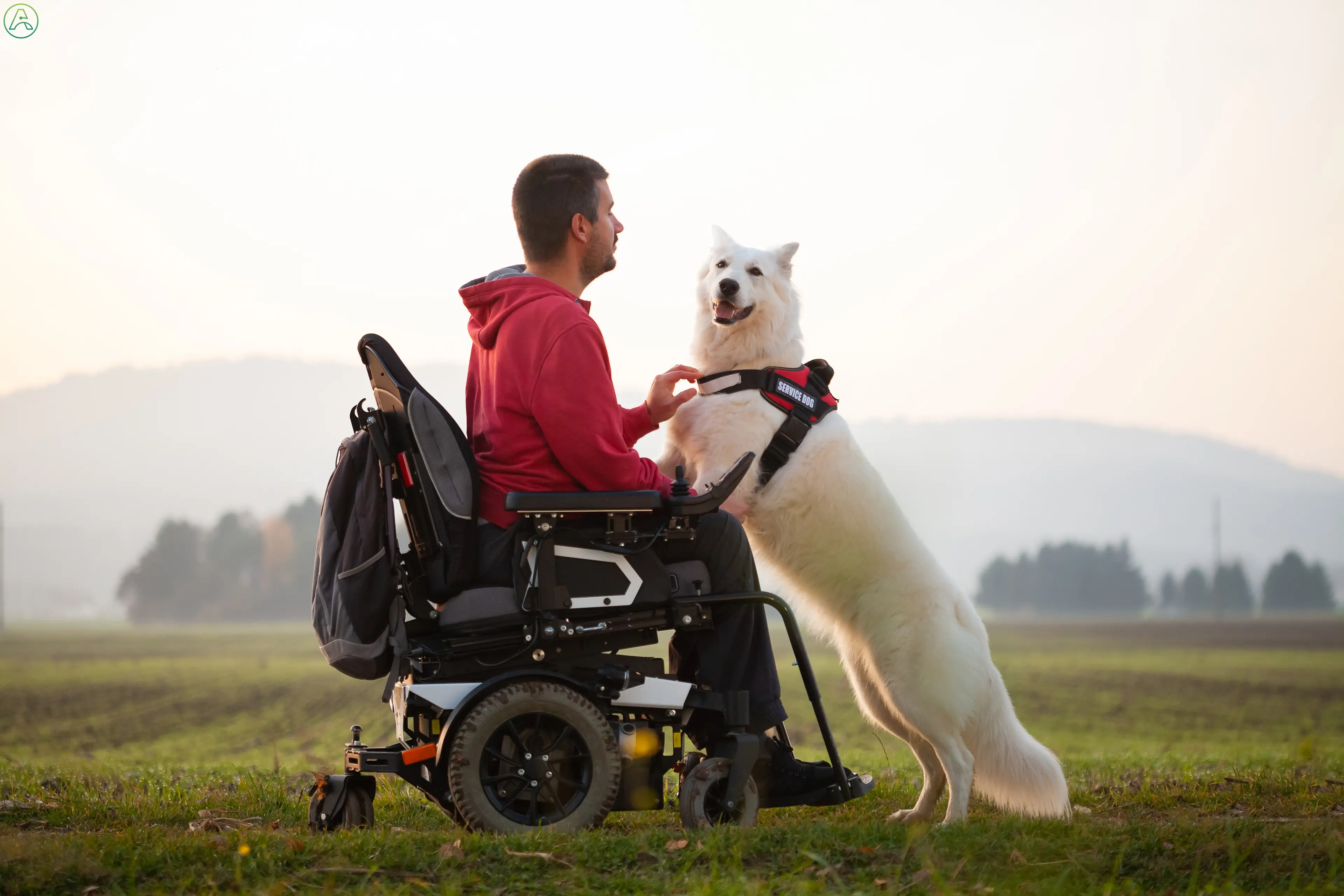 A large white dog with pointed ears and a red service dog vest stands with his front paws in the lap of a white man in a motorized wheelchair and red sweatshirt, providing support in a muddy field.