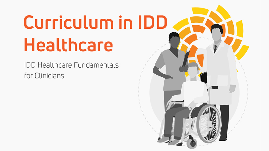 Graphic that says Curriculum in IDD Healthcare with a group of people