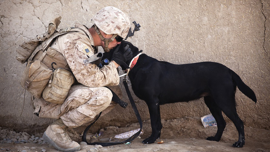 solider kissing a dog