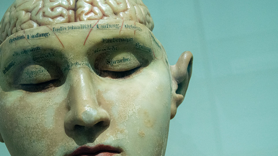 Old statue that has parts of brain for medical study