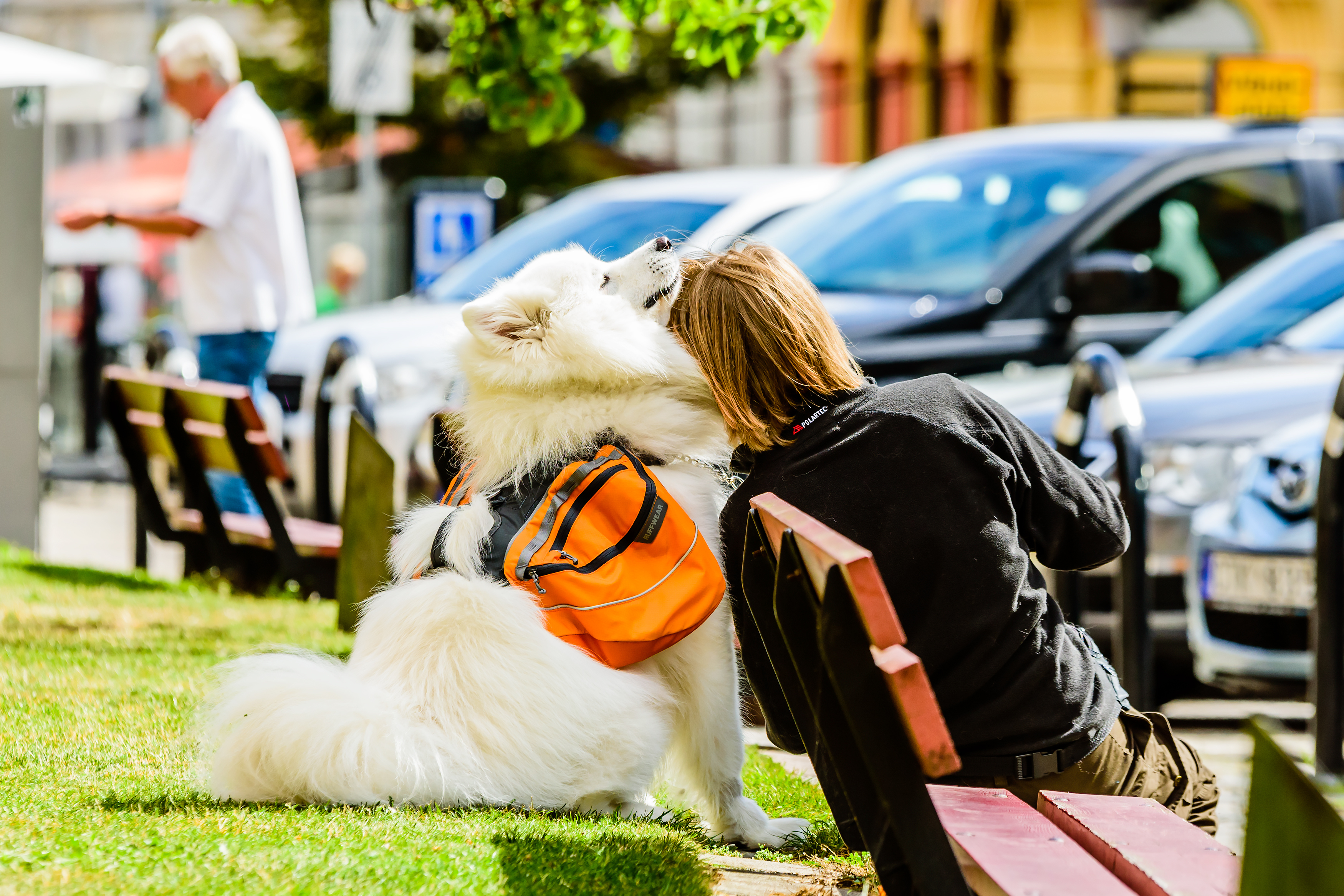 A fluffy white Samoyed service dog in an orange vest supports his owner, a young woman in a black jacket, as she collapses against him in a public park